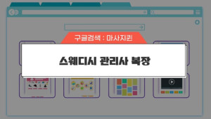 스웨디시 복장.jpg