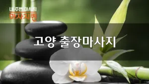 고양_01.webp