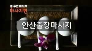 안산.webp
