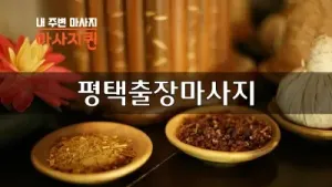 평택.webp