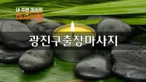 광진구출장마사지.webp