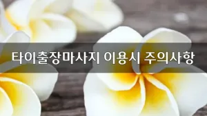 타이출장마사지_이용시_주의사항.webp