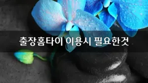 출장홈타이이용시필요한것.webp