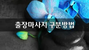 출장마사지구분방법.webp