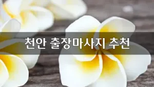 천안출장마사지추천.webp
