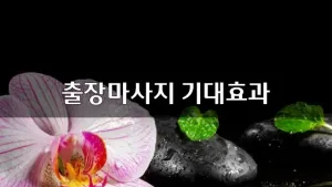 출장마사지기대효과.webp