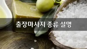 출장마사지종류설명.webp