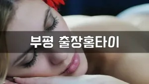 부평출장홈타이.webp