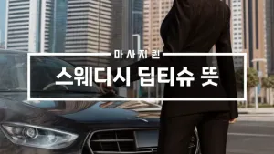스웨디시딥티슈뜻.webp